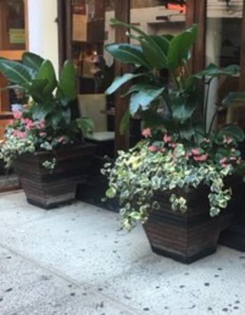 Cuba Restaurant and Rum Bar